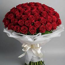 Букет 101 Красная роза Блэк Мэджик в Змейке