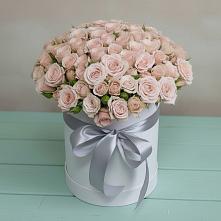 Цветочная композиция из Розы в шляпной коробке в Змейке