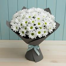 Букет цветов из:  Хризантемы в Змейке