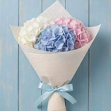 Букет цветов из:  Гортензия в Змейке