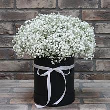 Цветочная композиция из Гипсофила в шляпной коробке в Змейке