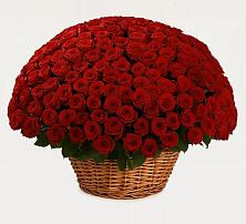 Премиум букет из: Розы в Змейке